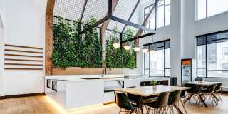 Olivine Gallery 31
