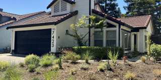 7423 Fireweed Cir Gallery 1