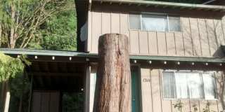 1314 S 2nd Street Gallery 1