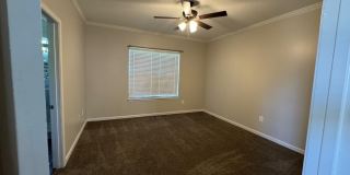 4619 FOREST PINES Drive Gallery 14