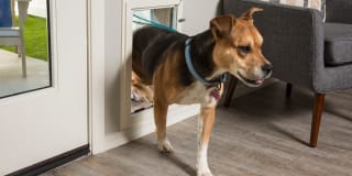 Christopher Todd Communities At Country Place Gallery 7