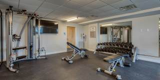 Shiplock Views Gallery 11