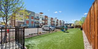Baker School Apartments - Affordable Housing Gallery 4