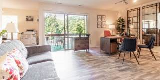 Willow Oaks Gallery 28
