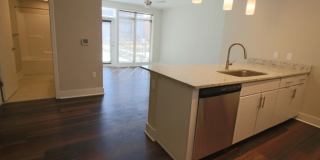 Main2525 Gallery 25
