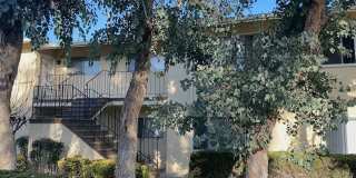 Sumac Oasis Gallery 1