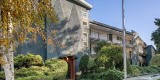 Arrive Magnolia Gallery 67