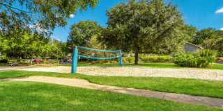 St. Johns Forest Gallery 17