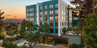 Windsor Winchester Windsor Winchester Gallery 11