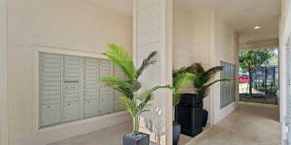 Water Oak Gallery 73