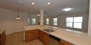 15746 Cotton Tail Gallery 2