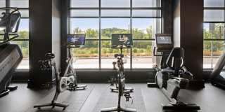 Madison West Elm Gallery 54