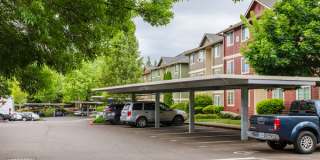 Willamette Park Gallery 9