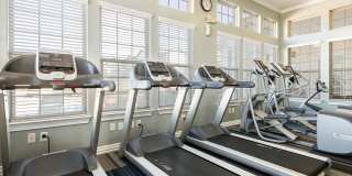 Park at Briggs Ranch Gallery 29