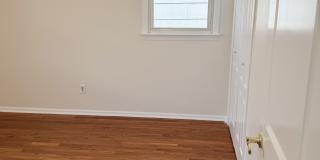 79 Paterson Street Gallery 3