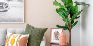 Alta Citron Gallery 42