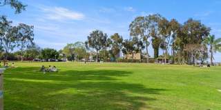 Recently Renovated University Heights 2 Bed 1 Bath with 2 off-street parking spaces! Pet OK! Gallery 39