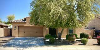 4261 N 180th Lane Gallery 1