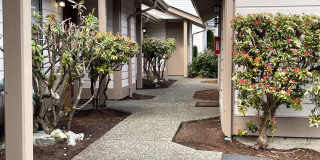 Bright & Private 1BR Townhome in Juanita – Garage, Patio & Prime Kirkland Location Gallery 3
