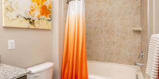 Nexus at Sandhill Apartment Homes Gallery 66