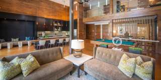 Sola Galleria Gallery 20