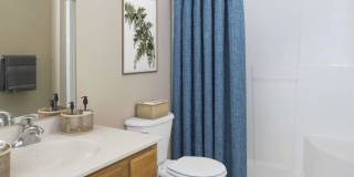 853 Dreamers Loop Gallery 8