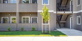 Spring Woods Gallery 1