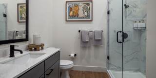 Mira Gallery 18