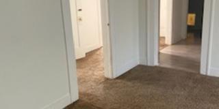 1710 CHESTNUT ST Gallery 7