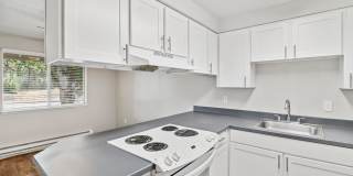 Aspire Gresham Gallery 8