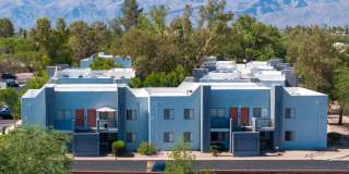 Acacia Hills Gallery 30