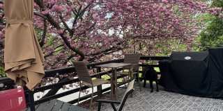 Stunning 3–4 Bedroom Townhome in Private Community | Garage + EV Charger | Deck with Tree Views Gallery 11
