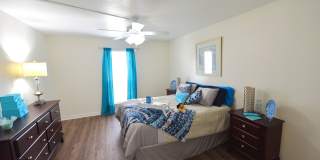 Wilshire Park Gallery 4