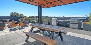 Terrace Station Gallery 17