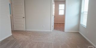 391 Coconut Drive Gallery 34