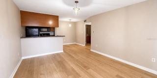 203 LAKE PARSONS Green Gallery 2
