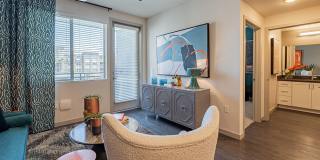 Buffalo at Desert Shores Gallery 3