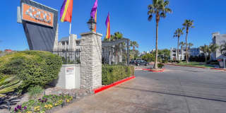 4200 Paradise Gallery 34