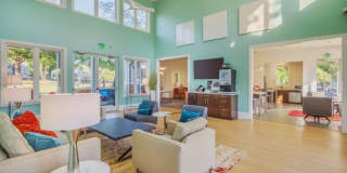 Nu Six Forks Gallery 10