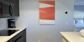 222 N Calle El Segundo Gallery 13