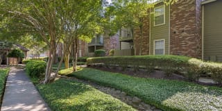 Pear Orchard Gallery 25