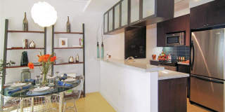 The Element Gallery 11