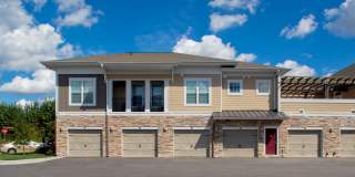 Red Knot at Edinburgh Gallery 21