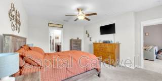 9434 Lemon Drop Loop Gallery 20