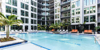 Aster & Links Gallery 9