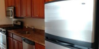 2704 W Ainslie St Gallery 3