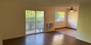 Lord Chaucer Gallery 1