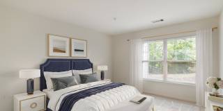 Everly Darien Gallery 3