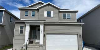 Beautiful House with basement apartment Gallery 1