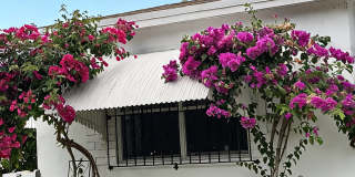1890 Northeast 157th Terrace Gallery 1